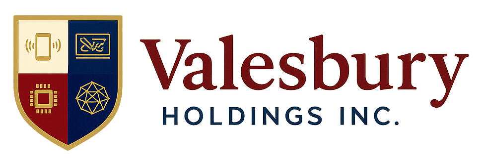 Valesbury Holdings Inc. logo